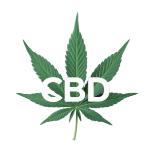 cbd seeds