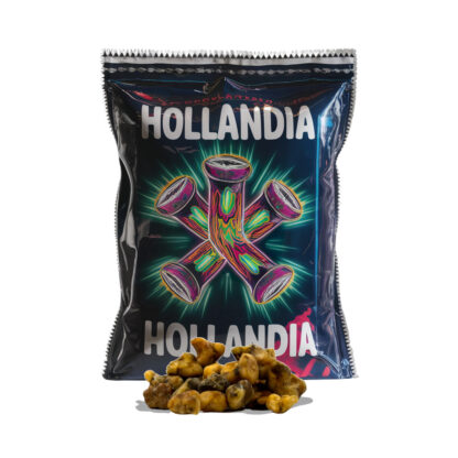 hollandia magic truffles