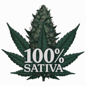 pure sativas