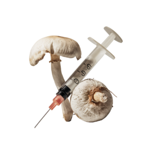 mushroom spore syringe