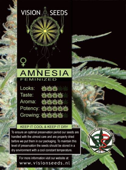Amnesia
