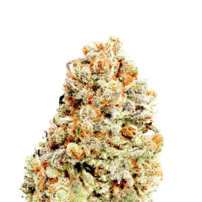 Blueberry Auto
