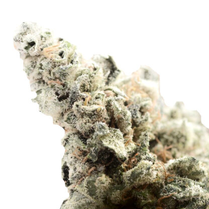 CBD Bulk Seeds 20%