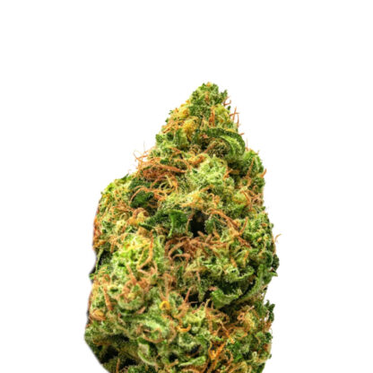 Critical Jack 3.0