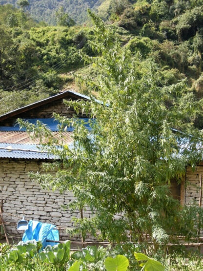 Nepál Annapurna
