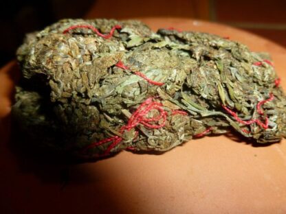 THAI BULK SEEDS - Imagem 2