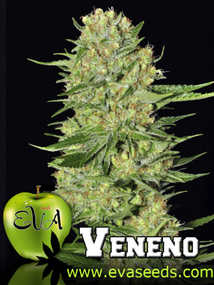 Veneno