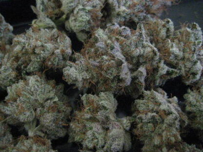 White Kush